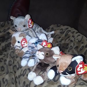 5 ADORABLE Kitty Kat TY BEANIE BABIES ...